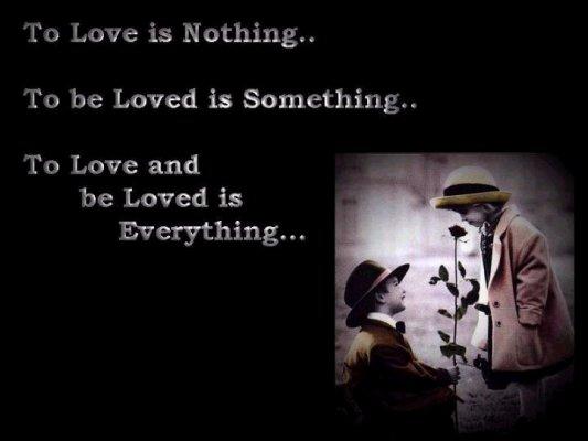 Love is Nothing To be Loved is Something